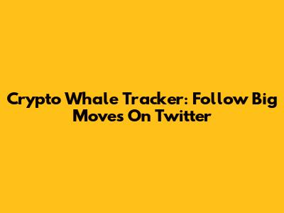Crypto Whale Tracker: Follow Big Moves On Twitter