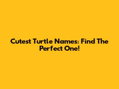 Cutest Turtle Names: Find The Perfect One!