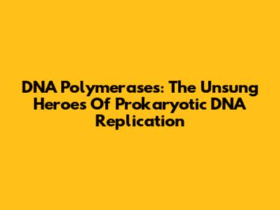 DNA Polymerases: The Unsung Heroes Of Prokaryotic DNA Replication