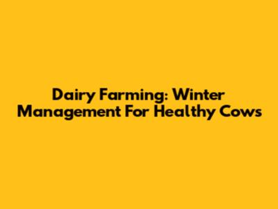 Dairy Farming: Winter Management For Healthy Cows