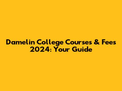 Damelin College Courses & Fees 2024: Your Guide