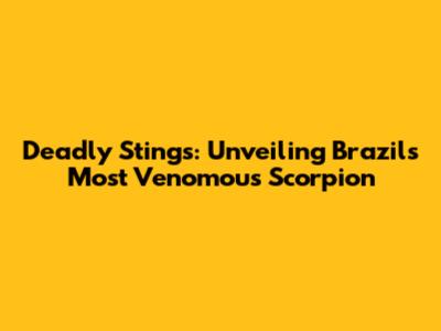 Deadly Stings: Unveiling Brazil's Most Venomous Scorpion