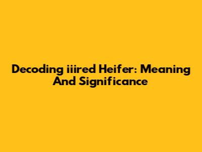 Decoding 'iiired Heifer': Meaning And Significance