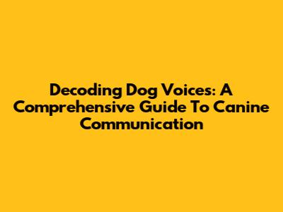 Decoding Dog Voices: A Comprehensive Guide To Canine Communication