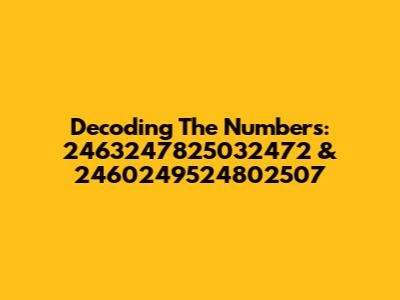 Decoding The Numbers: 2463247825032472 & 2460249524802507