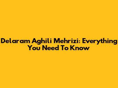 Delaram Aghili Mehrizi: Everything You Need To Know