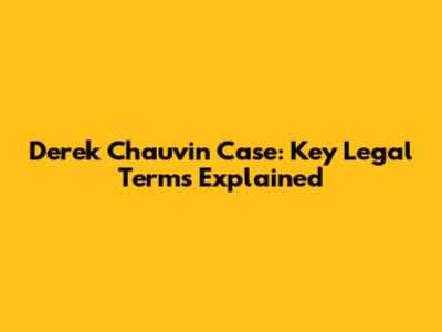 Derek Chauvin Case: Key Legal Terms Explained