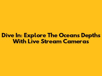 Dive In: Explore The Ocean's Depths With Live Stream Cameras