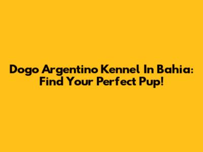 Dogo Argentino Kennel In Bahia: Find Your Perfect Pup!