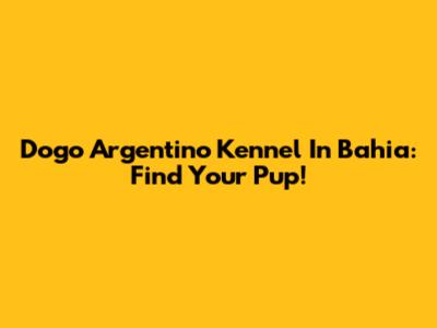 Dogo Argentino Kennel In Bahia: Find Your Pup!