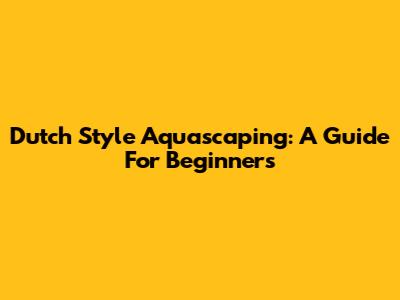 Dutch Style Aquascaping: A Guide For Beginners
