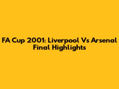 FA Cup 2001: Liverpool Vs Arsenal Final Highlights