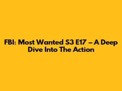 FBI: Most Wanted S3 E17 – A Deep Dive Into The Action