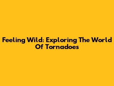 Feeling Wild: Exploring The World Of Tornadoes