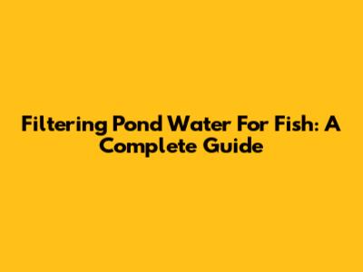 Filtering Pond Water For Fish: A Complete Guide