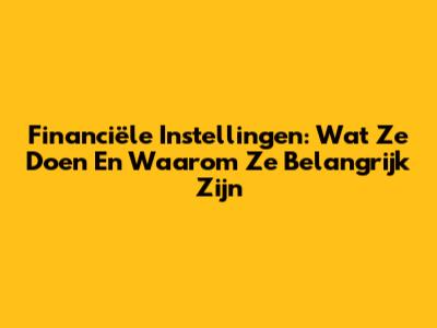 Financiële Instellingen: Wat Ze Doen En Waarom Ze Belangrijk Zijn
