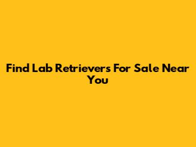 Find Lab Retrievers For Sale Near You