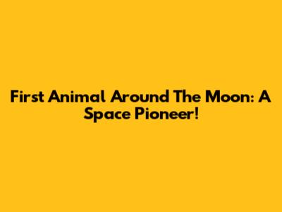 First Animal Around The Moon: A Space Pioneer!