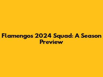 Flamengo's 2024 Squad: A Season Preview