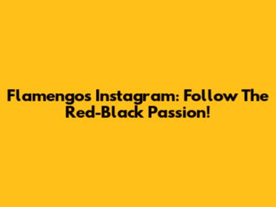 Flamengo's Instagram: Follow The Red-Black Passion!