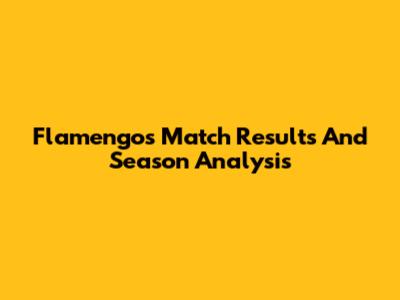 Flamengo's Match Results And Season Analysis