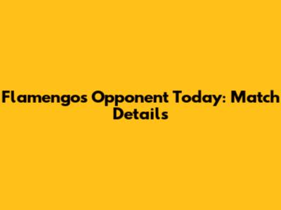 Flamengo's Opponent Today: Match Details
