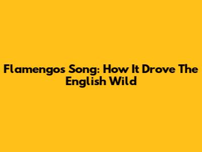 Flamengo's Song: How It Drove The English Wild