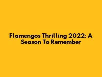 Flamengo's Thrilling 2022: A Season To Remember
