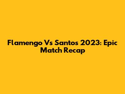 Flamengo Vs Santos 2023: Epic Match Recap