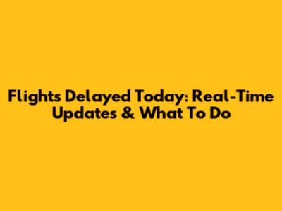 Flights Delayed Today: Real-Time Updates & What To Do