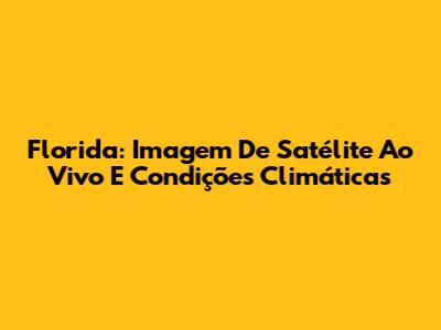 Florida: Imagem De Satélite Ao Vivo E Condições Climáticas