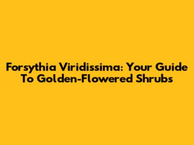 Forsythia Viridissima: Your Guide To Golden-Flowered Shrubs