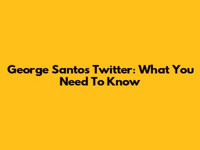 George Santos Twitter: What You Need To Know