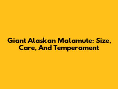 Giant Alaskan Malamute: Size, Care, And Temperament