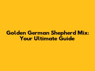 Golden German Shepherd Mix: Your Ultimate Guide