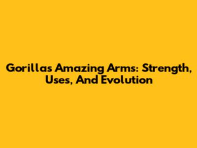 Gorillas' Amazing Arms: Strength, Uses, And Evolution