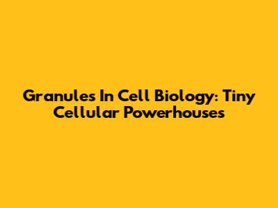 Granules In Cell Biology: Tiny Cellular Powerhouses