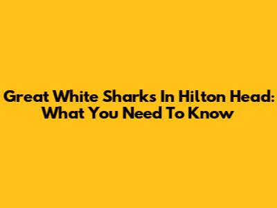 Great White Sharks In Hilton Head: What You Need To Know