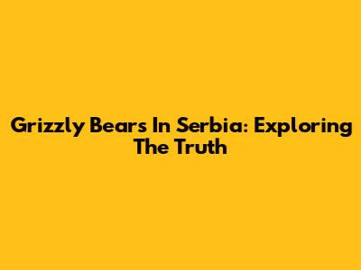 Grizzly Bears In Serbia: Exploring The Truth