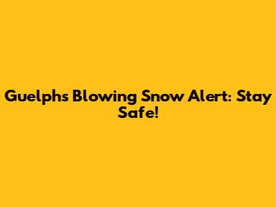Guelph's Blowing Snow Alert: Stay Safe!