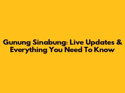 Gunung Sinabung: Live Updates & Everything You Need To Know