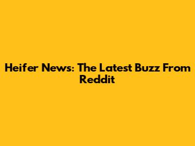 Heifer News: The Latest Buzz From Reddit