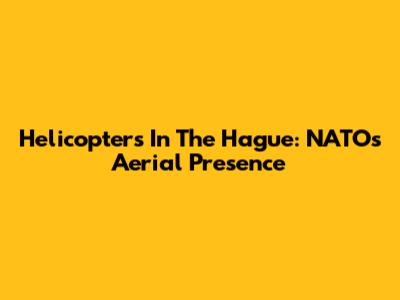 Helicopters In The Hague: NATO's Aerial Presence