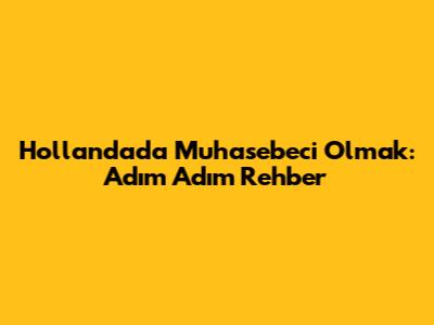 Hollanda'da Muhasebeci Olmak: Adım Adım Rehber