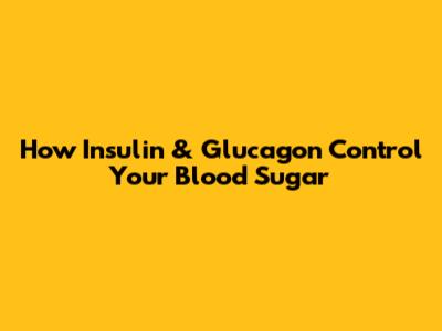How Insulin & Glucagon Control Your Blood Sugar