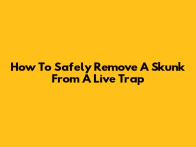 How To Safely Remove A Skunk From A Live Trap