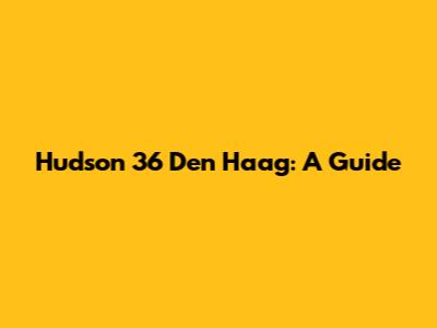 Hudson 36 Den Haag: A Guide
