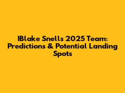 IBlake Snell's 2025 Team: Predictions & Potential Landing Spots