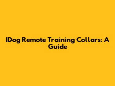 IDog Remote Training Collars: A Guide