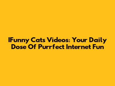IFunny Cats Videos: Your Daily Dose Of Purrfect Internet Fun